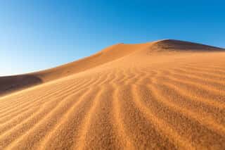 Desert