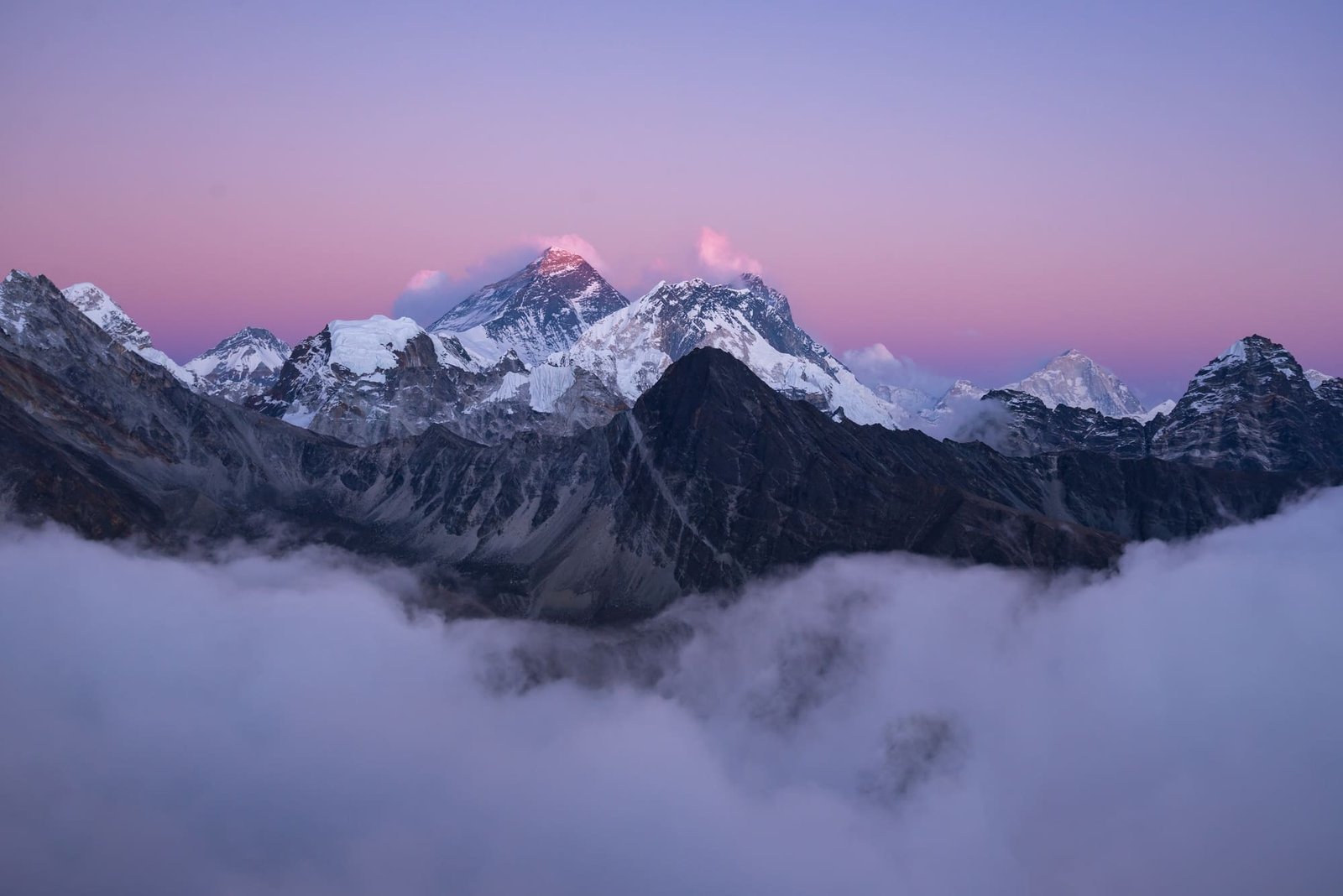Himachal Delight
